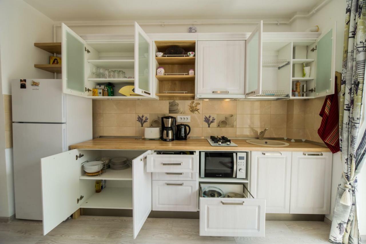 בראשוב Schiller Apartment 57 - Free Private Parking מראה חיצוני תמונה