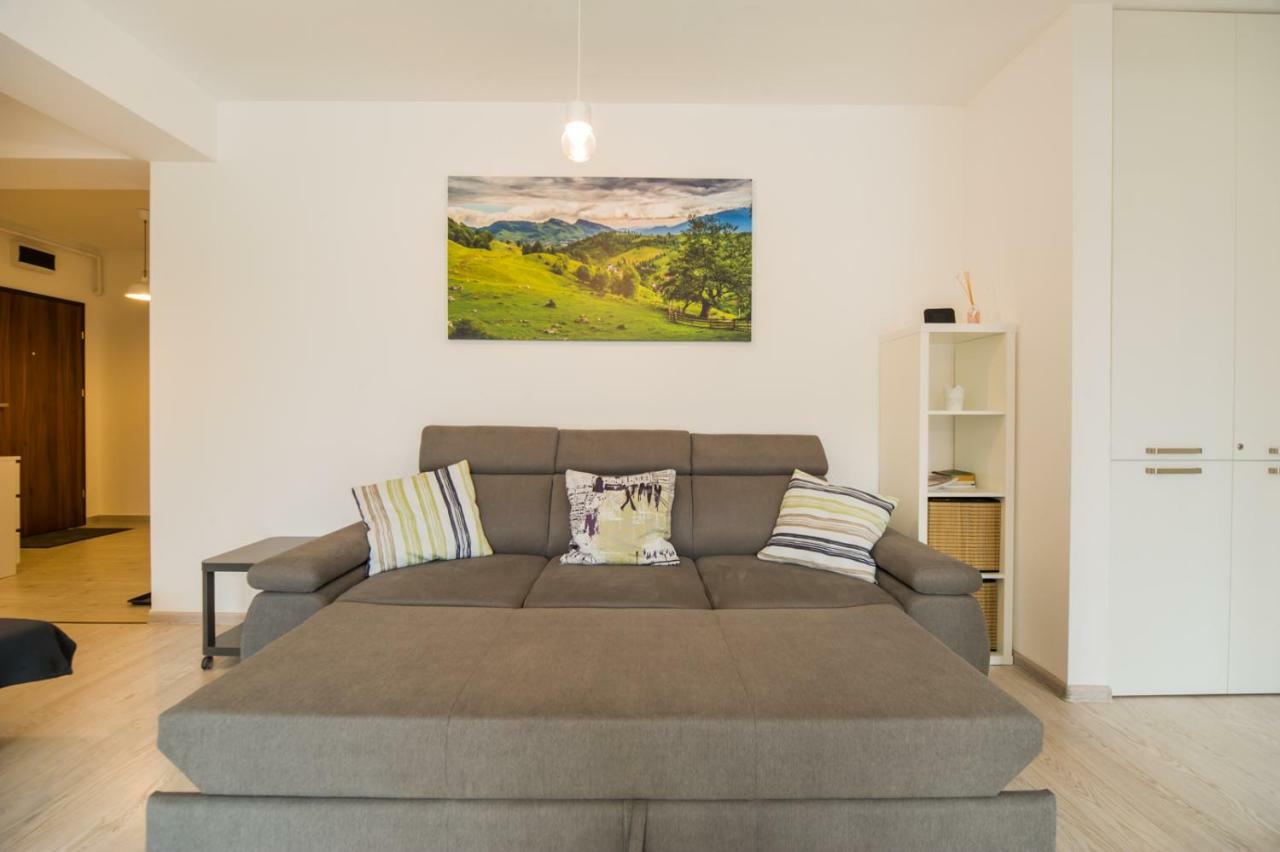 בראשוב Schiller Apartment 57 - Free Private Parking מראה חיצוני תמונה