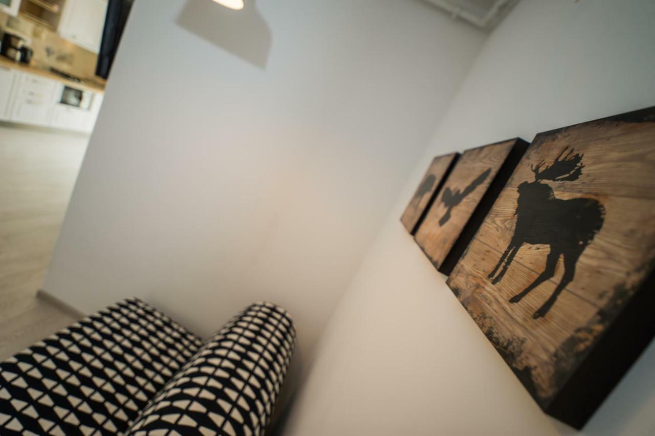 בראשוב Schiller Apartment 57 - Free Private Parking מראה חיצוני תמונה