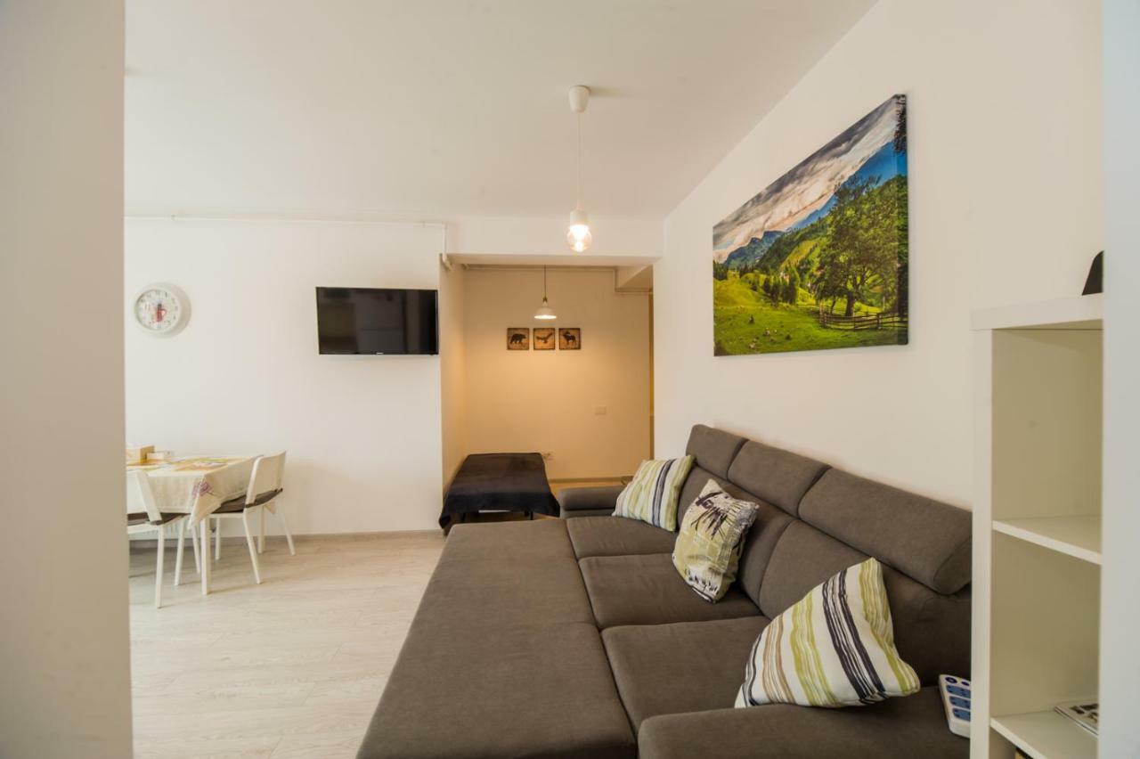 בראשוב Schiller Apartment 57 - Free Private Parking מראה חיצוני תמונה